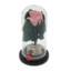 Trandafir criogenat roz sub cupola de sticla cu mesaj La multi ani
