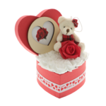 Gift for girlfriend teddy bear with roses and picture 15cm