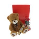 Gift set with teddy bear and cryogenic rose I love you 3