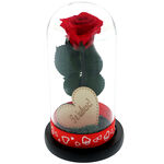 Kriogén vörös rózsa kupola alatt az I love you üzenettel 1