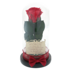 Trandafir criogenat rosu sub cupola cu mesaj zi de nastere 6