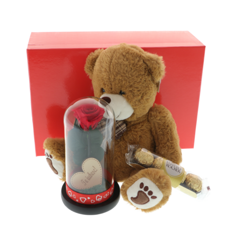 Gift set with teddy bear and cryogenic rose I love you